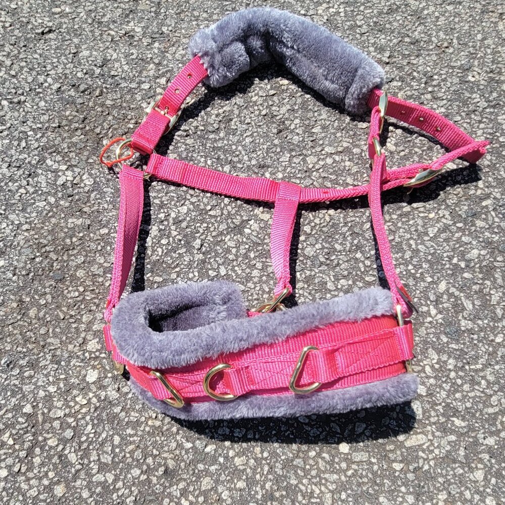 Shires Fleece Lined Lunging Cavesson New with out tag